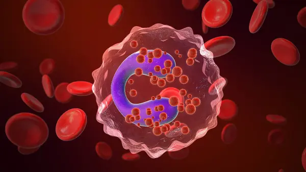 What Level of Eosinophils Indicate Cancer